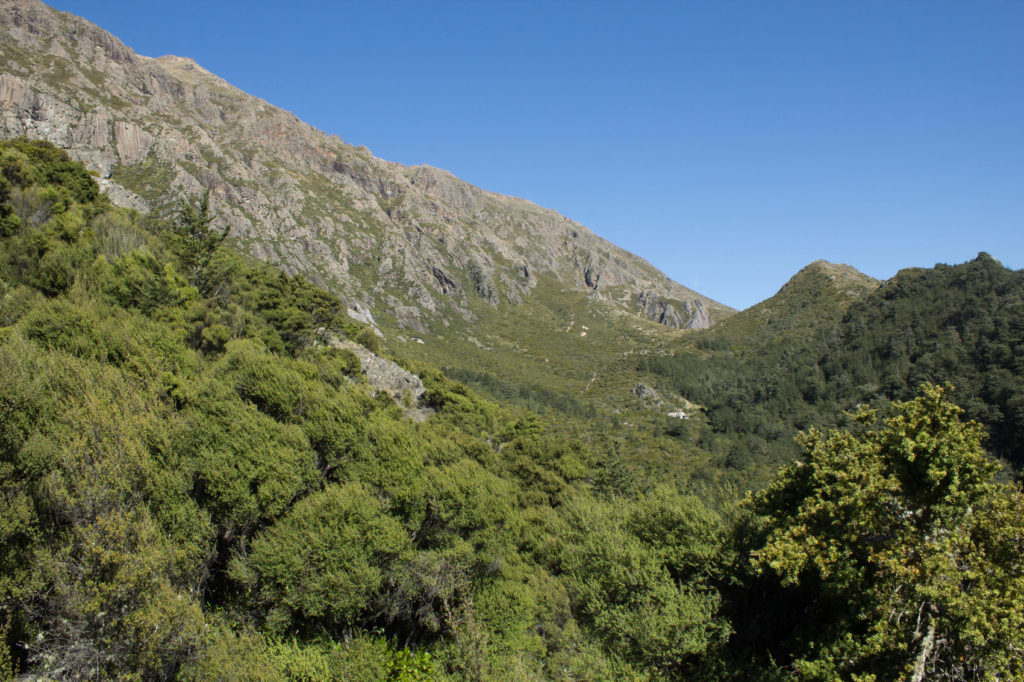 Vue sur Pinnacles hut et la zone de grimpe