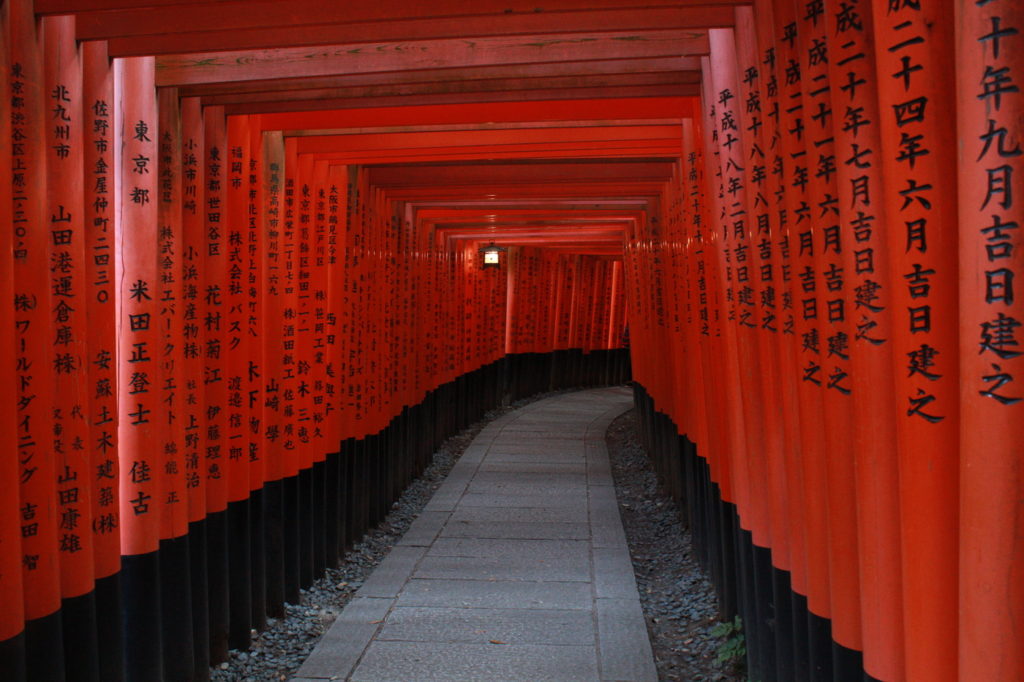 Les toriis du sanctuaire